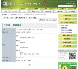 【ドッグショー】厚木愛犬クラブ・チワワ展