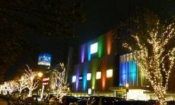 イルミネーション ライトアップ