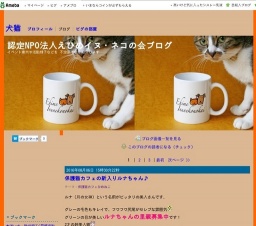 保護猫カフェ「ひめねこ」 