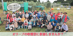 オリーブ収穫祭バスツアー