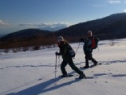 【週末アウトドア　スノーシュートレッキング体験in富士山】社会人サークルFEAD