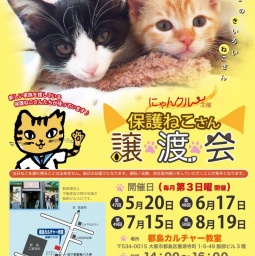 にゃんクルー譲渡会