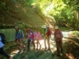 【平日アウトドア　自然たっぷり♪ライトトレッキングツアー】社会人サークルFEAD