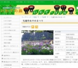 毛越寺あやめまつり