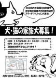 玉川上水ステッチ「犬・猫の家族大募集！！！」