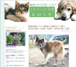 新春わんにゃんふれあい定例譲渡会＆施設見学会