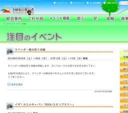 コスモスと可愛いお子さんの撮影ワンポイント講座
