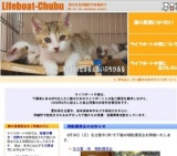 子猫との面会日