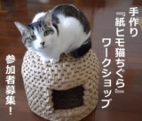 手作り『紙ヒモ猫ちぐら』ワークショップ参加者募集！
