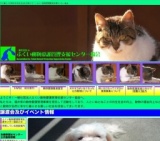 犬猫譲渡会