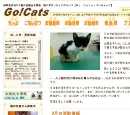 子猫・若猫譲る会