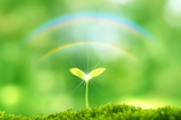 11月限定♪女性限定☆ネイティブ英語を体験してみませんか？