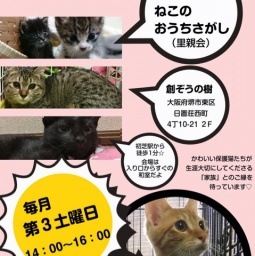 ねこのおうちさがし@初芝