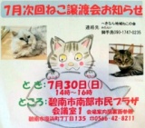 ねこ譲渡会