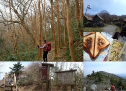 天狗の森と大引割・小引割を歩く四国カルスト