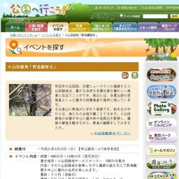 野鳥観察会