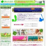 【先行募集受付期間】クリスマスにはまだ間に合う！京都で婚活！素敵な出逢いはＫＹＯＴＯにあ...