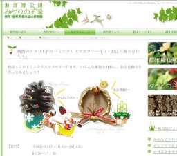 植物のクラフト作り「ミニクリスマスツリー作り・お正月飾りを作ろう」