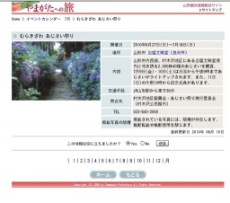 むらきざわ あじさい祭り