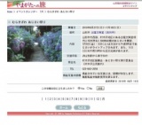 むらきざわ あじさい祭り