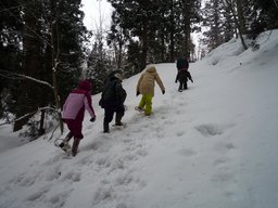 かまくら作り&スノーシュー体験ツアー