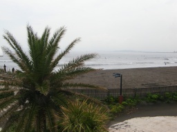 日帰りランヨガ@江ノ島 ~ランニング&ビーチYOGA~