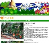 押し花カード作り