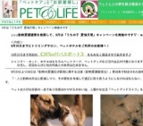 9月は「うちの子 愛情月間」キャンペーン実施中です