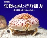 特別企画展示「生物のふしぎな能力 〜生存競争を勝ち抜くために〜」