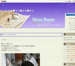 でら！ねこ！「猫の譲渡会」