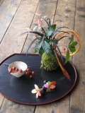 新春　お正月苔玉づくり
