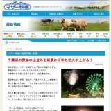 千葉県の房総の山並みを背景に今年も花火が上がる！