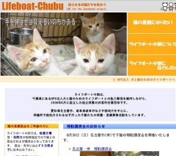 子猫との面会日