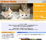 子猫との面会日