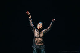 勅使川原三郎 連続公演「ある晴れた日に」