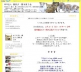 猫たちの譲渡会