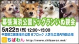 保護犬を家族に迎える譲渡会「ちばわん　幕張海浜公園ドッグランいぬ親会」