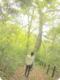 緑の木々に包まれながら・・の～びり、ぶらり。“森さんぽ”でプチリトリート♪