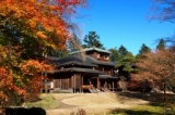 こだわりの花めぐりの一日旅／秋の日光の紅葉と文化遺産を訪ねて