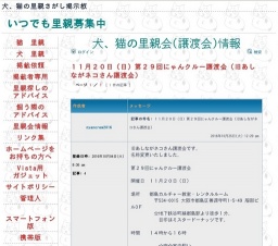 にゃんクルー譲渡会