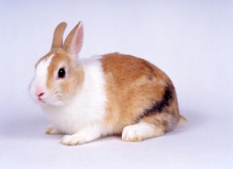 親子で牧場体験！ | ハウスクエア横浜