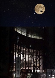 東北・宮城・仙台異業種交流会