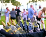 2/3(土)19:00～50名規模【ハワイがテーマのワイン会！】独身30代･40代限定！ハワイ×ワイン会