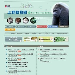 エメラルドツリーボア、展示再開！