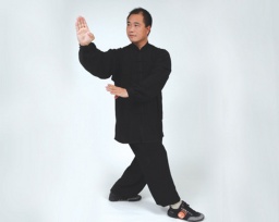 11月19日、20日 李保華老師 馬貴派八卦掌福岡セミナー！ 