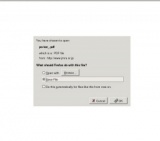 海で遊ぼう!　みんなでヨーソロー　　モーターボート体験乗船