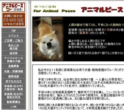 犬ねこの家族募集会