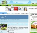味工房小諸すみれ主催 「小諸すみれまつり」
