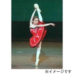 坂田バレエ「ミニコンサート」