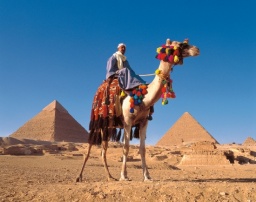 MSCクルーズで巡る古代エジプト、ヨルダン、イスラエルの旅